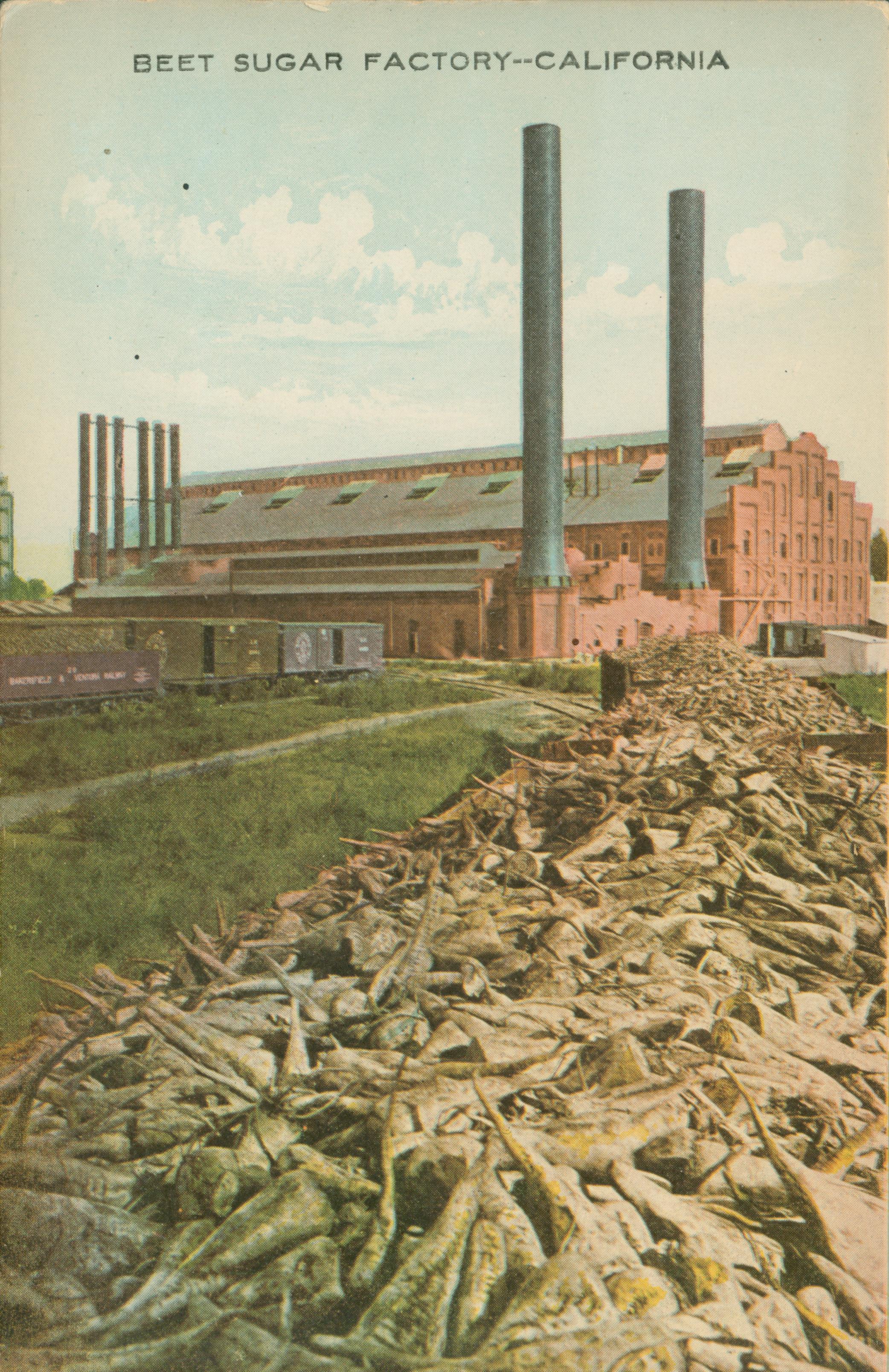 Shows the exterior of the Oxnard Sugar Factory, with several mounds of sugar beets outside of it